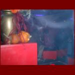 halloween20023t.JPG